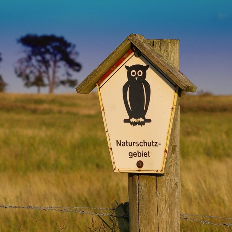 Ferienwohnung Rugiana, Groß Schoritz Rügen, Elektroauto, Umwelt, nachhaltig, Vögel, Rehe, Natur, Aussicht, Naturschutzgebiet